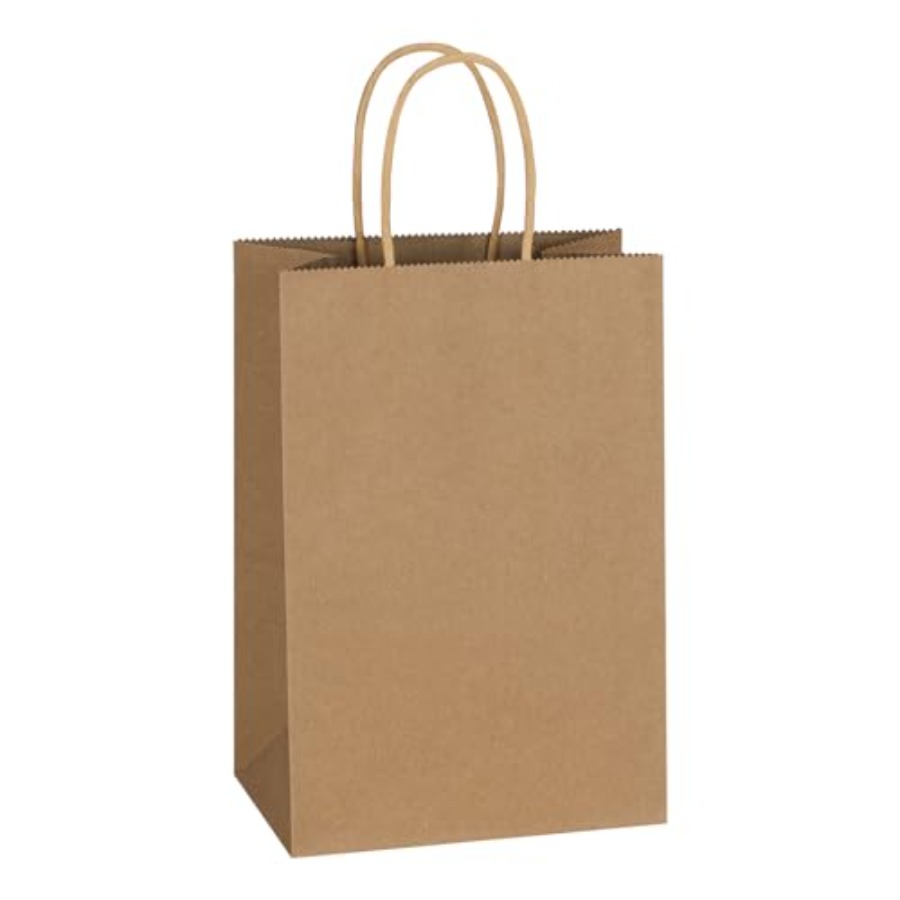 300팩 5.25x3.25x8.5인치 손잡이가 있는 일 - Party Favor Bag 리뷰 및 가격